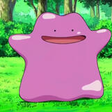 Ditto